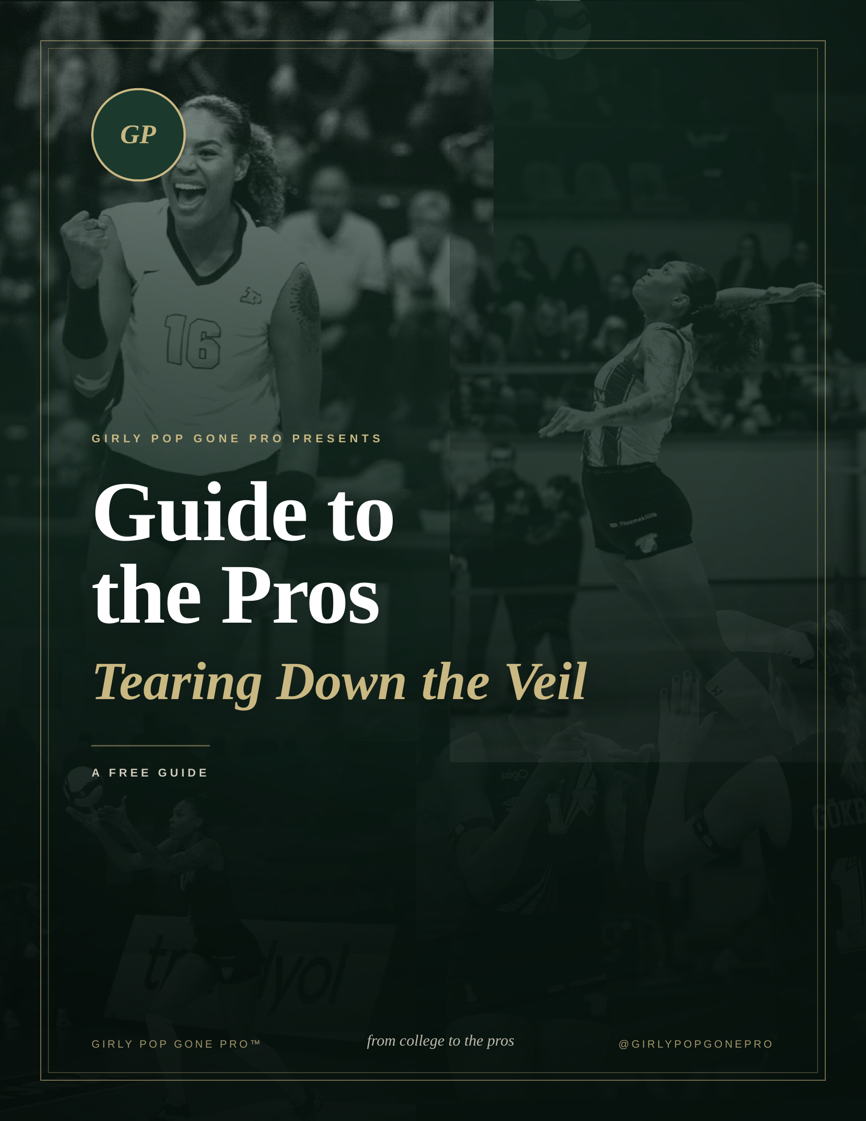 Guide to the Pros: Tearing Down the Veil cover